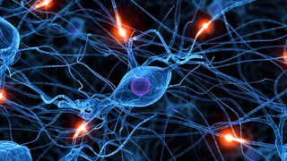 Neural Dust is a Step Towards Nexus